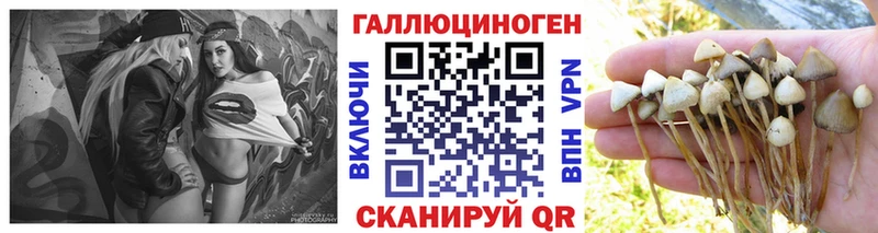 Галлюциногенные грибы Psilocybine cubensis  как найти закладки  Балаково 